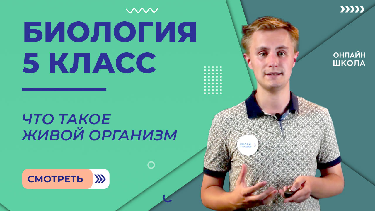 Что такое живой организм. Видеоурок 8. Биология 5 класс