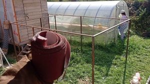 Выгул для кур своими руками