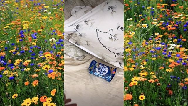 Лайк мутирует....|КРИНЖ ЛАЙК| 3 Часть смотреть онлайн