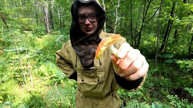 ГРИБЫ В ИЮЛЕ ПОЕХАЛИ В ЛЕС ЗА ГРИБАМИ смотреть онлайн