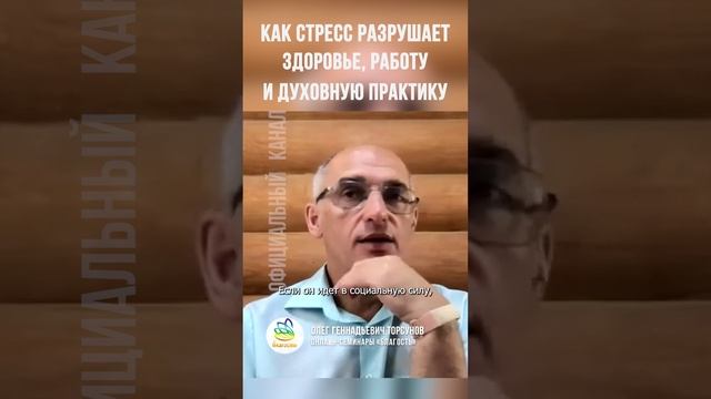 КАК СТРЕСС РАЗРУШАЕТ здоровье, работу и духовную практику. Олег Торсунов #Shorts