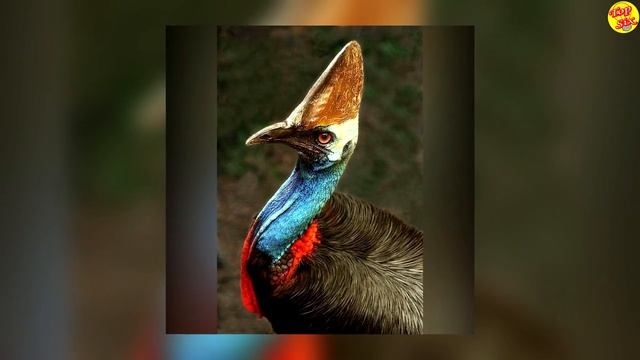 Este ANIMAL es un DINOSAURIO SOBREVIVIENTE y puede hacernos daño, mucho daño смотреть онлайн