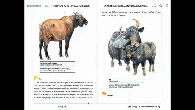 ИЗДАНИЕ ЭЛЕКТРОННЫХ КНИГ смотреть онлайн