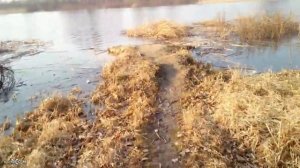 Одиночный обход озера "Гагара"