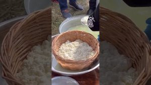 Фестиваль Адыгейского сыра, г.Майкоп,  на Даховской поляне, от Мурат Кумпилов❤???? 16.09.2023г.