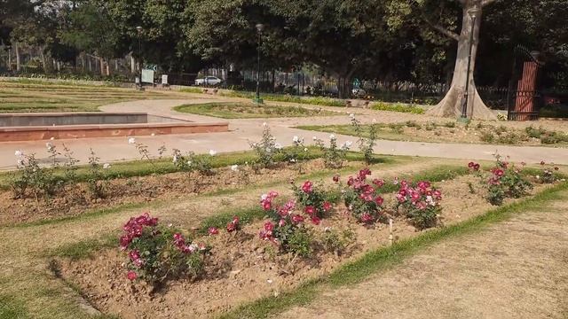BRICS Friendship Rose Garden, Chankyapuri смотреть онлайн