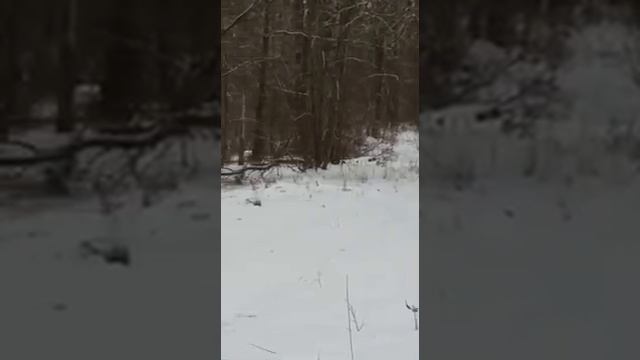 Хотынецкий природный парк расширил свои владения