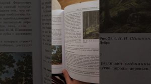 Биология 5 класс параграф 23 лес как природное сообщество