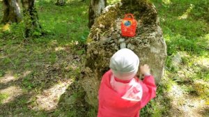 Генератор мыльных пузырей.