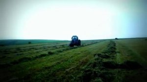 Грабли-Ворошилка,Ворошение люцерны, валкование сена