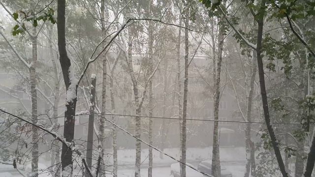 Погода в Нижнем Новгороде (11.10.2015) смотреть онлайн