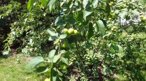 🤓 Тени исчезают в полдень 👏👏👏