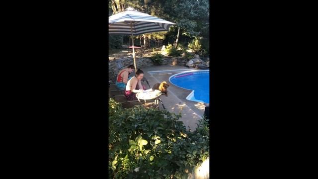 90's Pool Party - Tracy Moore Photographers 2020 Class смотреть онлайн