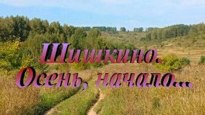 Шишкино. Осень, начало...  08.09.2024г.