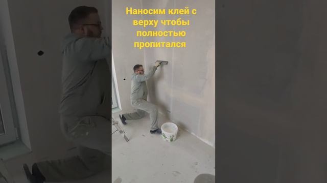 Наклейка стекло холста, подготовка к шпаклевке с дальнейшим окрасом стен.