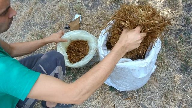 БЕЛЫЙ ГРИБ СТЕПНОЙ ДЕЛАЕМ ГРИБНЫЕ БЛОКИ смотреть онлайн