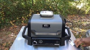 Ninja Woodfire Outdoor Grill Review