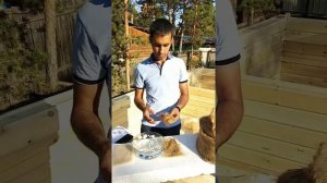 Эксперимент: межвенцовый утеплитель "Шелтер"; джут; пакля.Что лучше? Какой утеплитель выбрать?