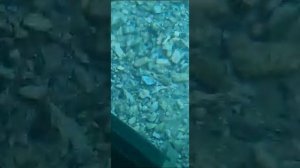 VID_20230806_214200_202.mp4