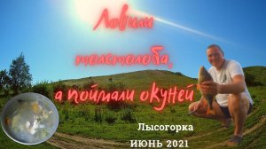Рыбалка на лысогорке 2021