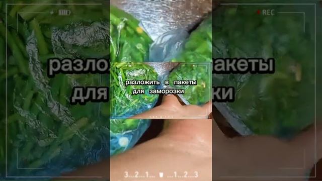 Чесночные стрелки, заморозки на зиму смотреть онлайн