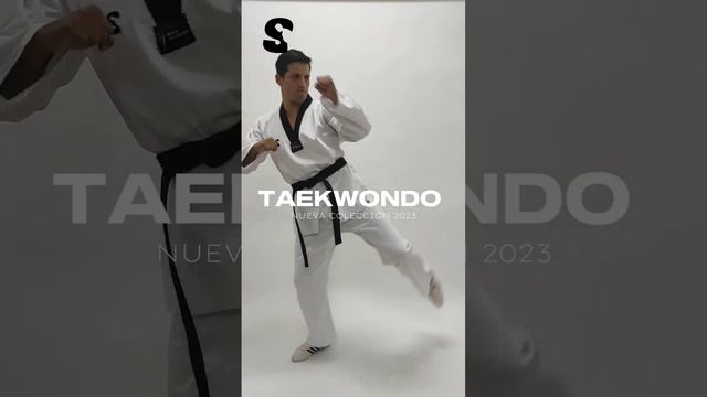 Dobok Taekwondo Sensei Perseverance