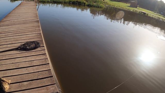 Симбухово рыбалка 29.09.23 смотреть онлайн