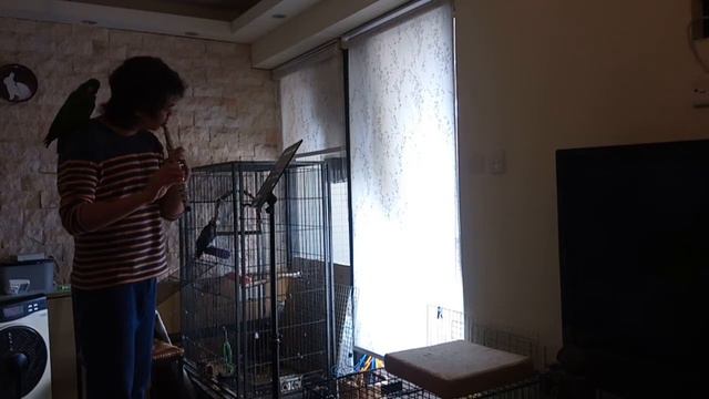 River Flows In You (Flute Version) cover by Eddie смотреть онлайн