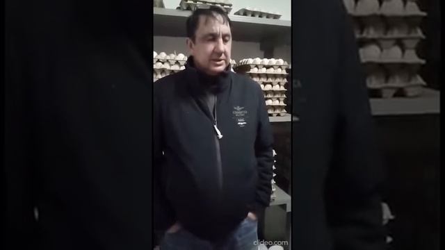 Индейка Краснодара Белая Широкогрудая и Бронзовая Северокавказская смотреть онлайн