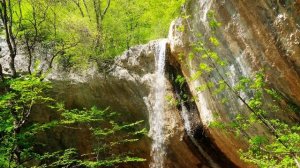 Природа 4к. Релакс. Вода, звуки природы, расслабление.