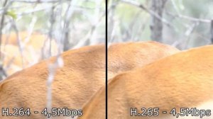 H.264 vs H.265 comparison (4K)