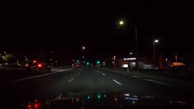 Шелтеры снова заполнены отказными собаками - кончилась пандемия, люди хотят путешествовать смотреть онлайн