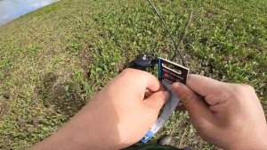 DAM или не DAM? Эти БЛЁСНЫ УДИВИЛИ! Обзор с рыбалки.