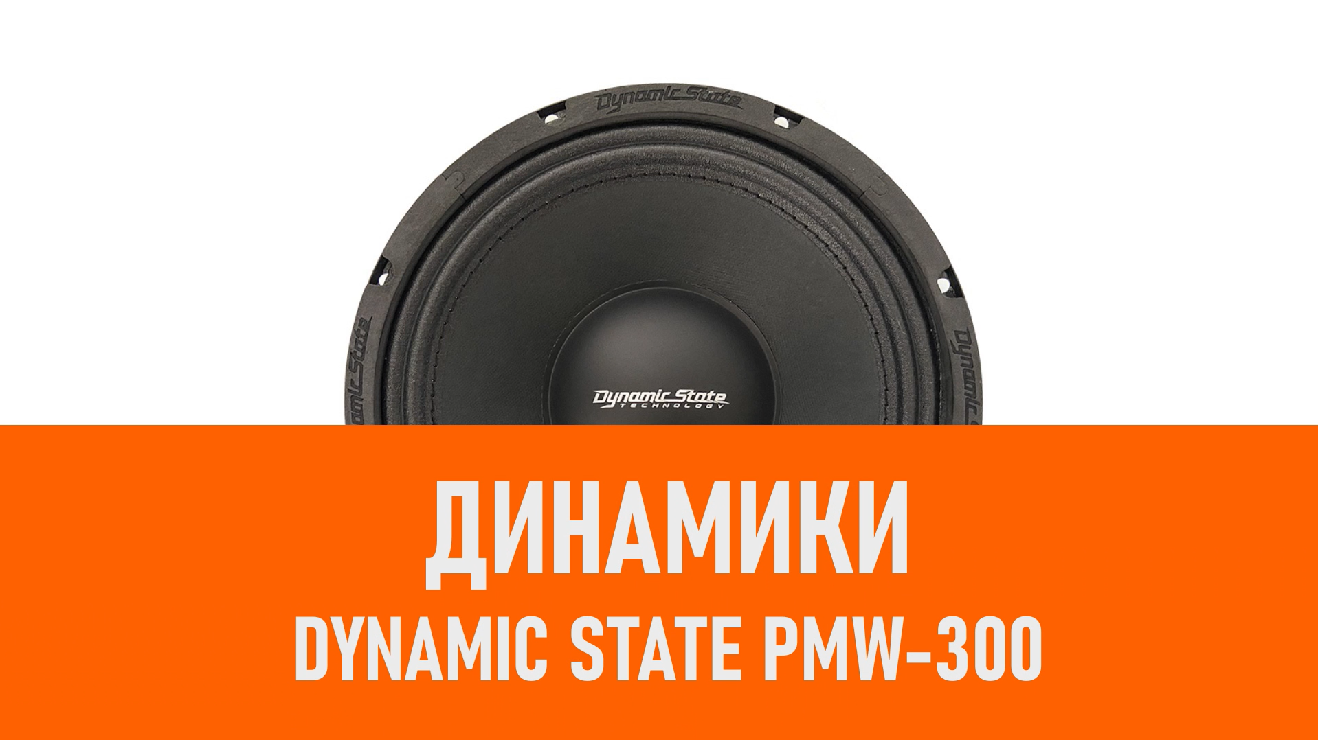 Распаковка динамиков Dynamic State PMW-300