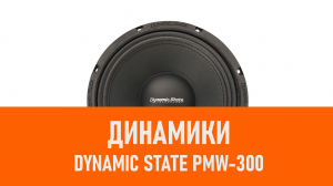 Распаковка динамиков Dynamic State PMW-300