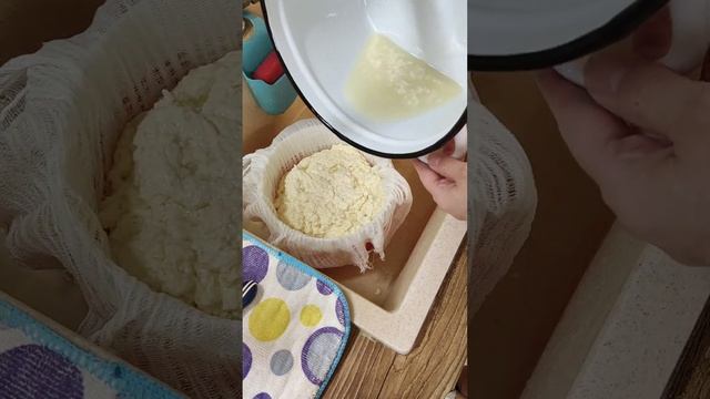 Домашний сыр Брынза. Не сложно, и очень вкусно ? смотреть онлайн