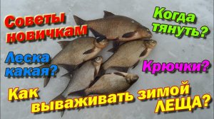 Как вываживать леща зимой? Когда тянуть? Советы новичкам по зимней ловле леща