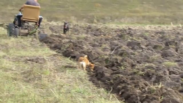 ПЛУГ ДЛЯ МОТОБЛОКА СВОИМИ РУКАМИ, ИСПЫТАНИЯ.