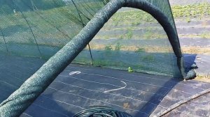 Рассадник из арматуры, быстро и надёжно