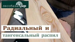 Радиальный и Тангенциальный распил в чем отличия