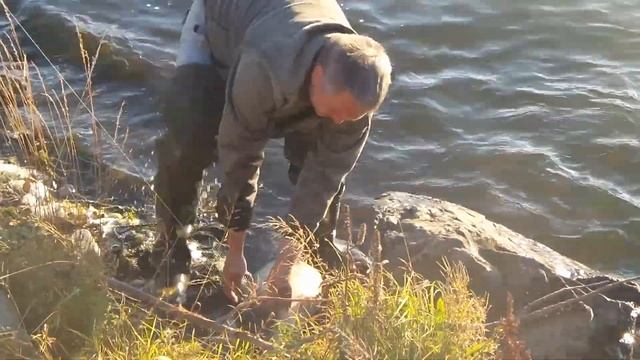 ловля карпа на плотине Ревда смотреть онлайн