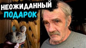 ОН НЕ ЗНАЛ, ЧТО МЫ ЕМУ ПРИВЕЗЛИ 😱 // НЕОЖИДАННЫЙ ПОДАРОК