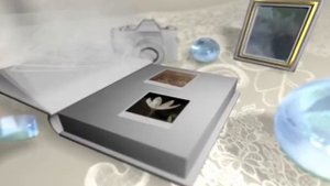 wedding footage 7, свадебный футаж 7.