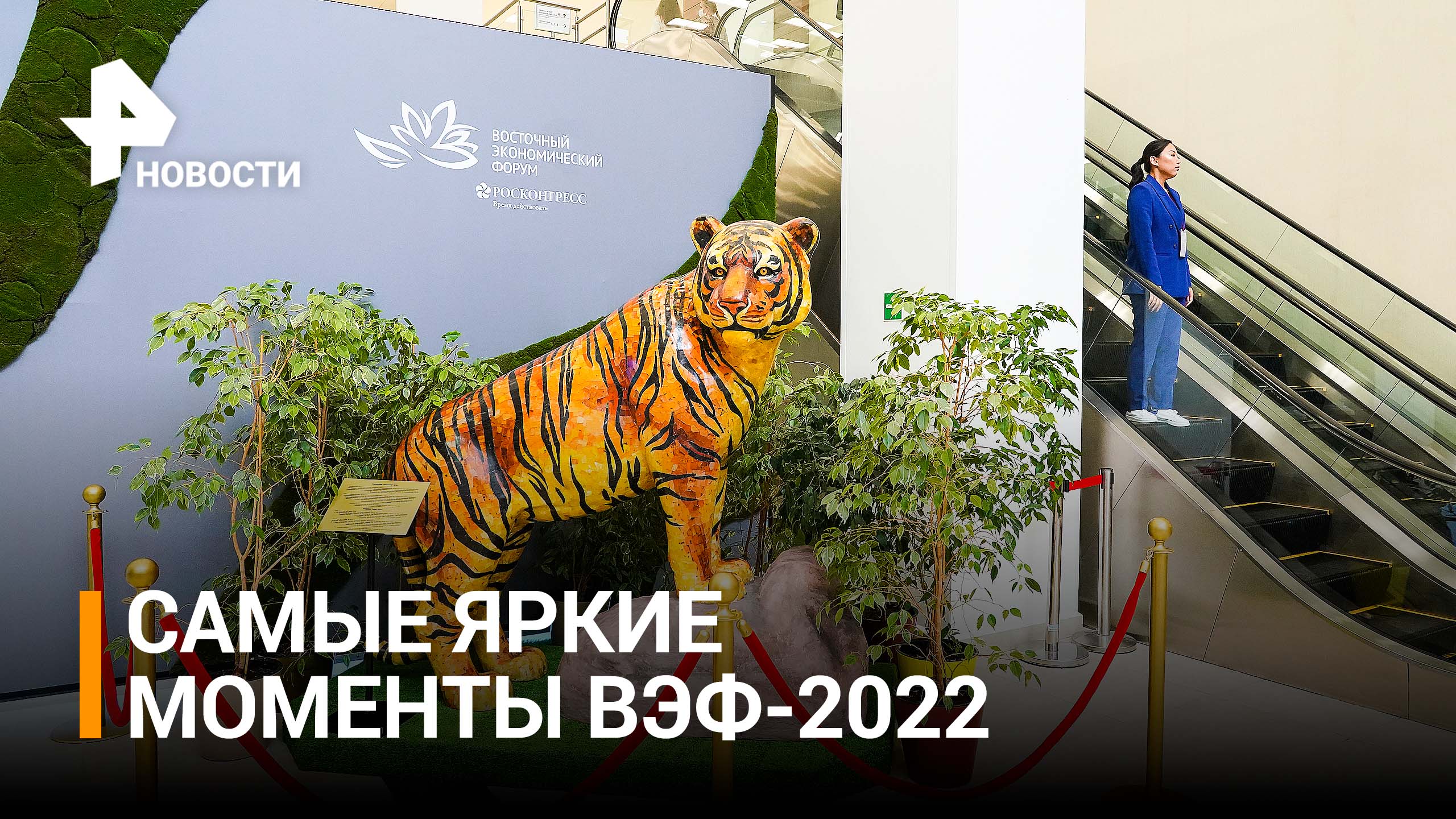 Регионы Дальнего Востока представили свои павильоны на ВЭФ-2022 / РЕН Новости