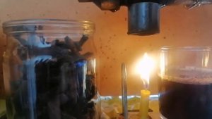 Маслопресс на подсолнечное масло