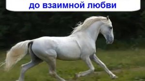 Поздравление с годом Лошади