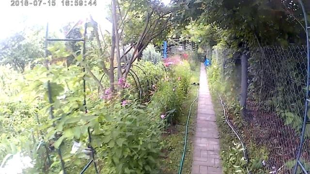 Digma Dicam 400 смотреть онлайн