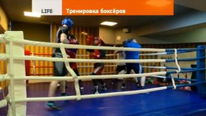 Тренировка боксёров