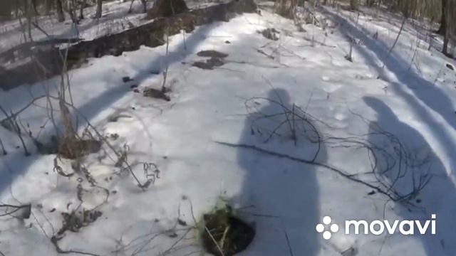 Пара оленьих рог смотреть онлайн