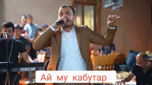 Дамирбек Олимов Damirbek Olimov суруди помири Ай му кабутар